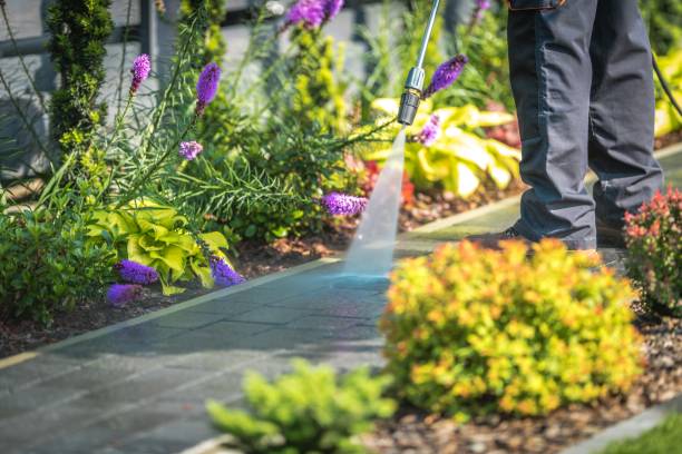 Best Pool Deck Cleaning  in Hawthorne, NJ